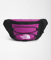 The North Face Jester Sac de Taille